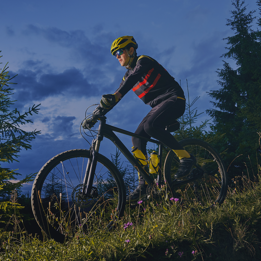 Bike Rental