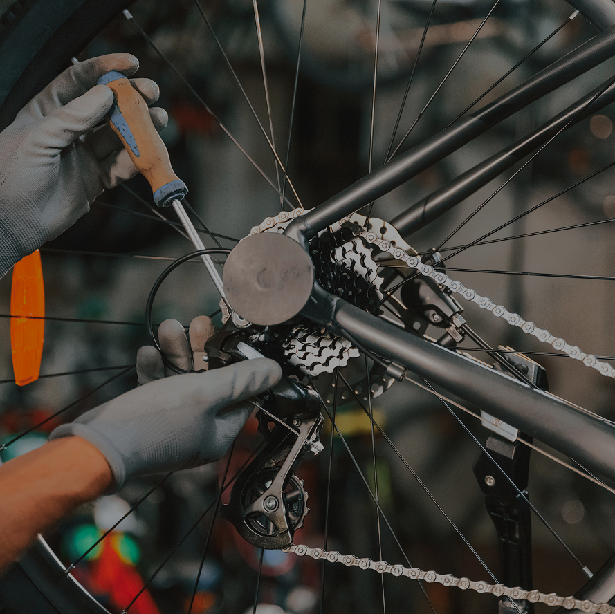Bike servis